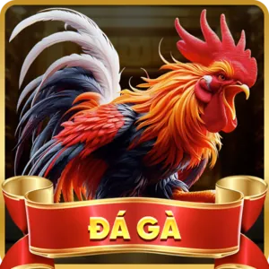 Đường dây nóng f1686 bet