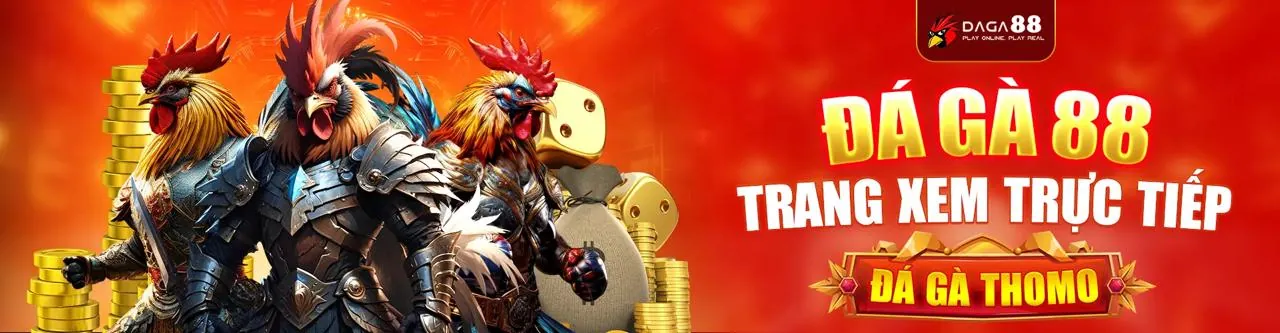 Gà chọi dũng mãnh trên đấu trường f1686 bet, không khí sôi động